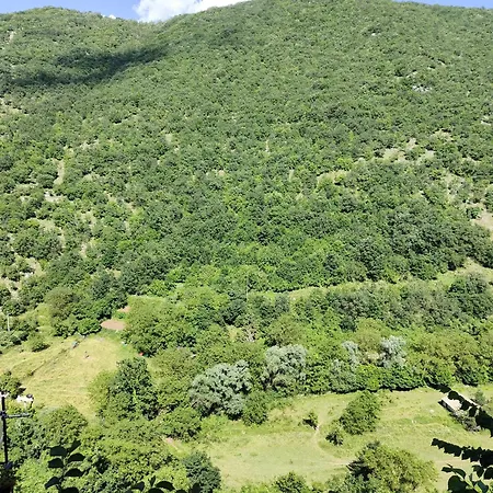 Casa Centro Storico 펜션