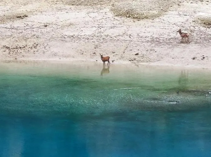 Casa Centro Storico *